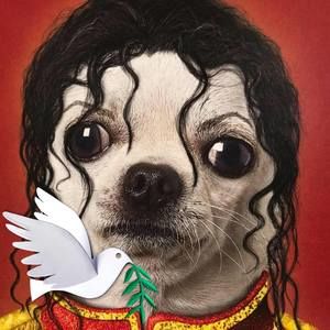 Meet your Posher, Phillip